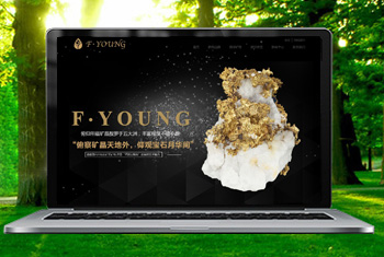 ͭ�긩�����ﱦʯ